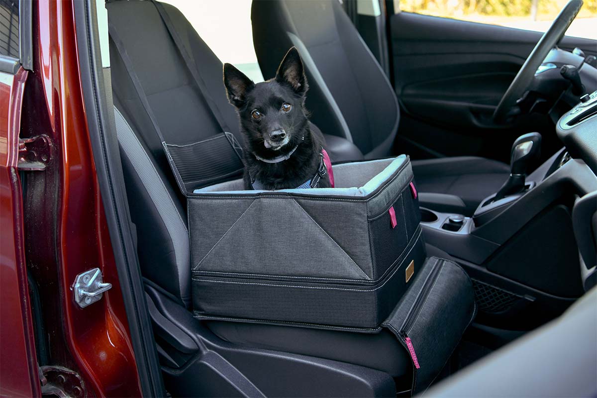 What makes Urban Transit pet products so great? Just ask our paw-some coworkers.