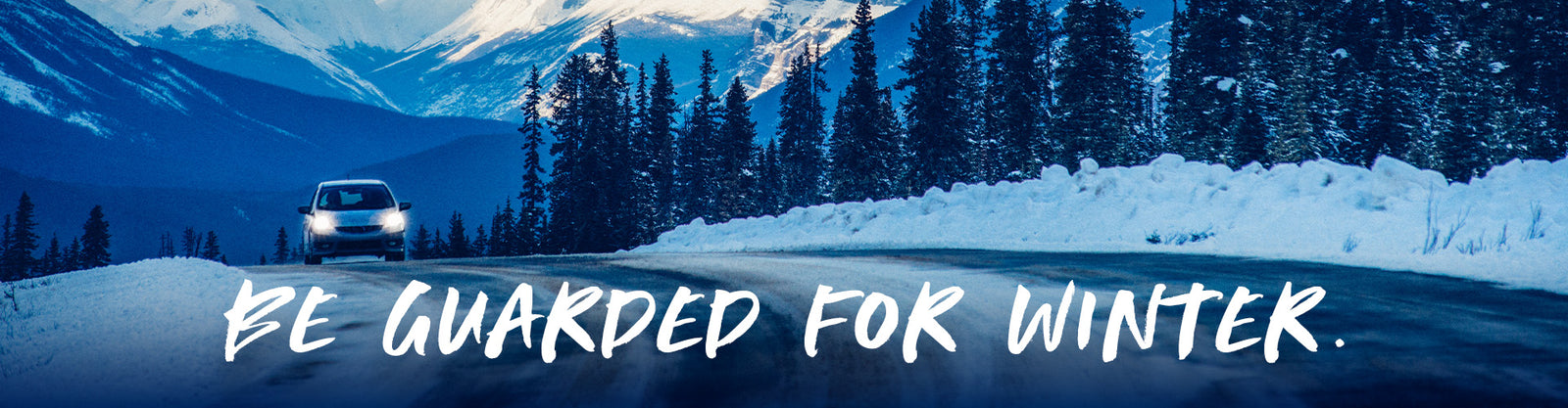 FrostGuard Winter Weather Windshield Covers for Snow and Ice