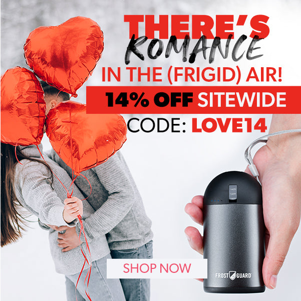 FrostGuard Rechargeable Hand Warmer and Power Bank